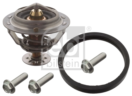 Thermostat, coolant